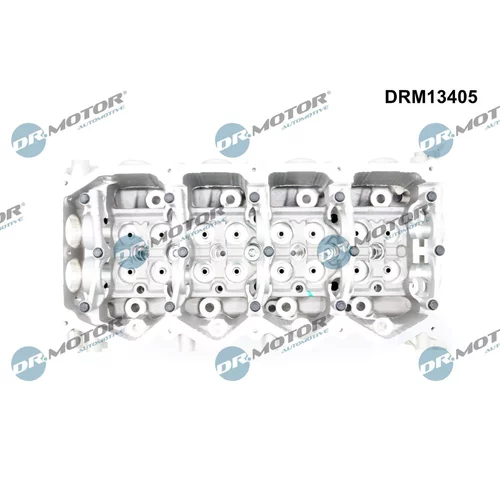 Hlava valcov motora DRM13405 (Dr.Motor Automotive) - obr. 1