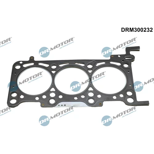 Tesnenie hlavy valcov Dr.Motor Automotive DRM300232