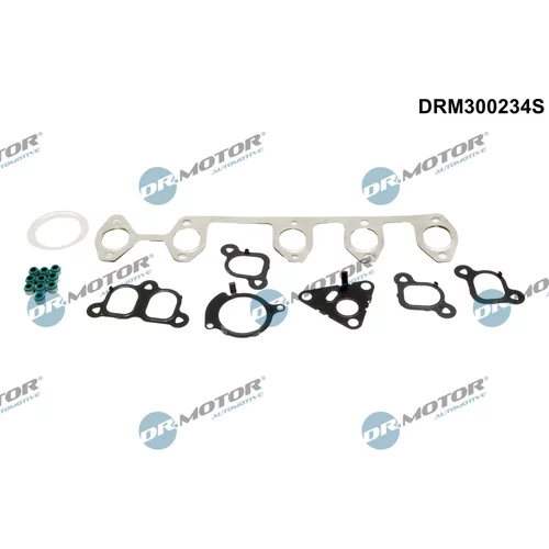 Sada tesnení, Hlava valcov Dr.Motor Automotive DRM300234S