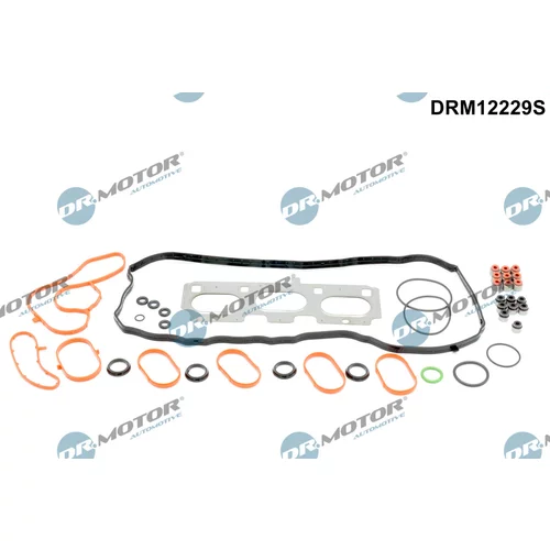 Sada tesnení, Hlava valcov Dr.Motor Automotive DRM12229S