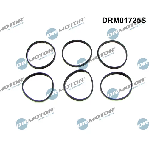 Sada tesnení kolena nasávacieho potrubia DRM01725S (Dr.Motor Automotive)
