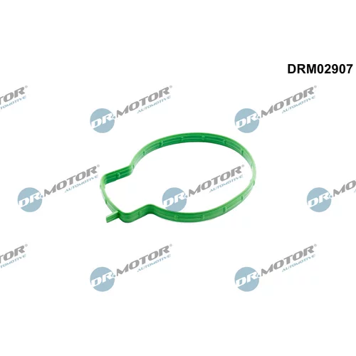 Tesnenie, hrdlo škrtiacej klapky Dr.Motor Automotive DRM02907