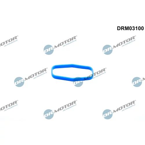 Tesnenie, olejové čerpadlo Dr.Motor Automotive DRM03100