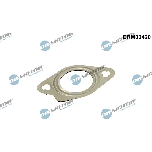 Tesnenie, Vedenie EGR ventilu Dr.Motor Automotive DRM03420