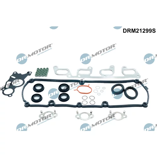 Sada tesnení, Hlava valcov Dr.Motor Automotive DRM21299S