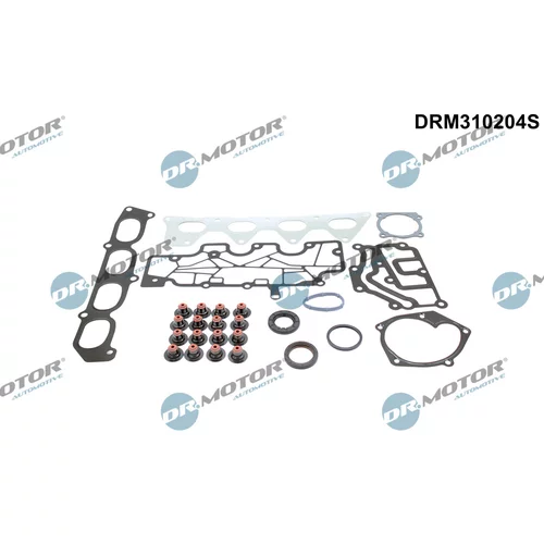Sada tesnení, Hlava valcov Dr.Motor Automotive DRM310204S