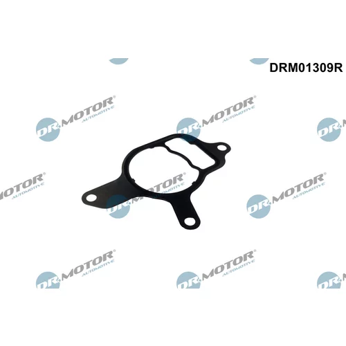 Tesnenie vákuového čerpadla Dr.Motor Automotive DRM01309R