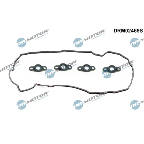 Sada tesnení veka hlavy valcov Dr.Motor Automotive DRM02465S
