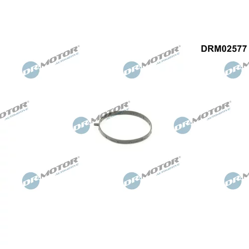 Tesnenie, hrdlo škrtiacej klapky Dr.Motor Automotive DRM02577