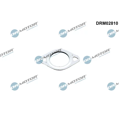 Tesnenie, Vedenie EGR ventilu Dr.Motor Automotive DRM02810