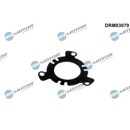 Tesnenie vstrekovacieho čerpadla Dr.Motor Automotive DRM03079