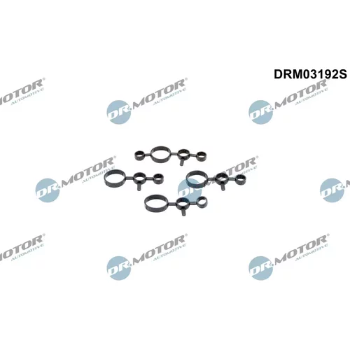 Sada tesnení veka hlavy valcov Dr.Motor Automotive DRM03192S