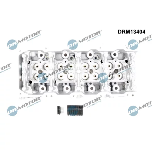 Hlava valcov motora DRM13404 (Dr.Motor Automotive) - obr. 1