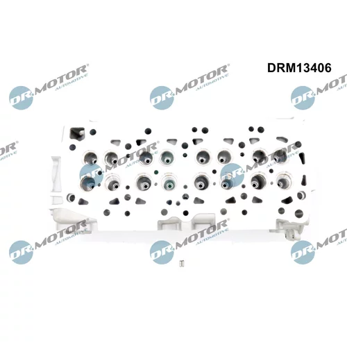 Hlava valcov motora DRM13406 (Dr.Motor Automotive) - obr. 1