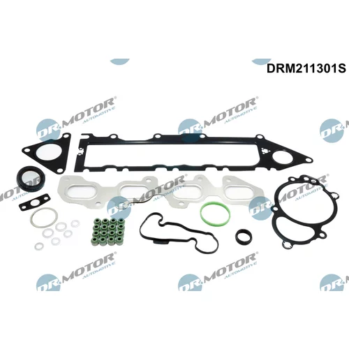 Sada tesnení, Hlava valcov Dr.Motor Automotive DRM211301S