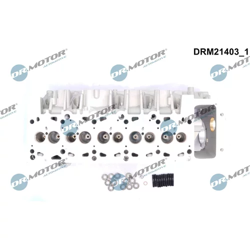 Hlava valcov motora DRM21403 (Dr.Motor Automotive) - obr. 1