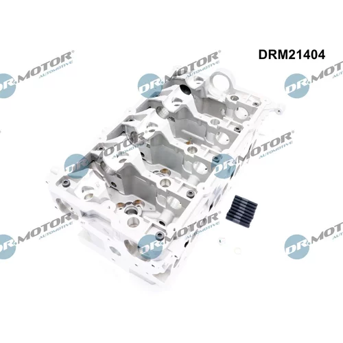 Hlava valcov motora DRM21404 (Dr.Motor Automotive) - obr. 3