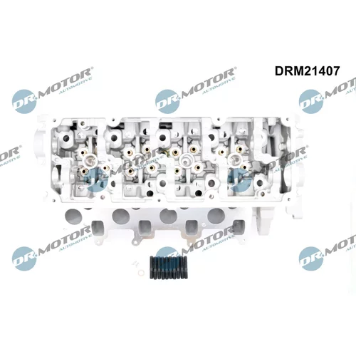 Hlava valcov motora DRM21407 (Dr.Motor Automotive) - obr. 1