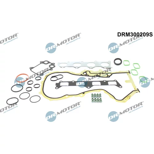Sada tesnení, Hlava valcov Dr.Motor Automotive DRM300209S