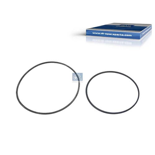 Sada tesneni, odstredivy cistic DT Spare Parts 1.31065