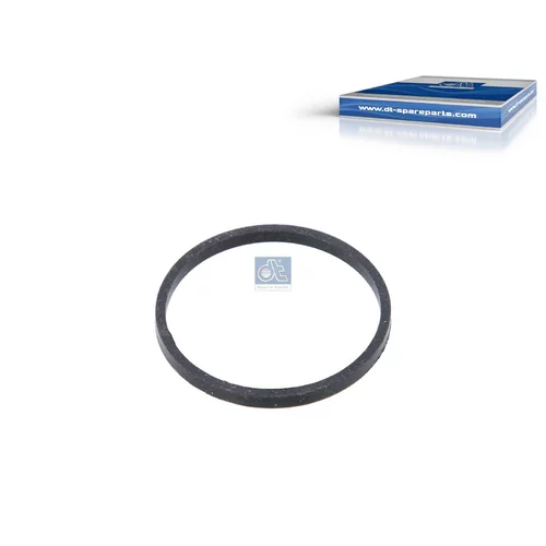 Tesnenie termostatu 4.20112 (DT Spare Parts)