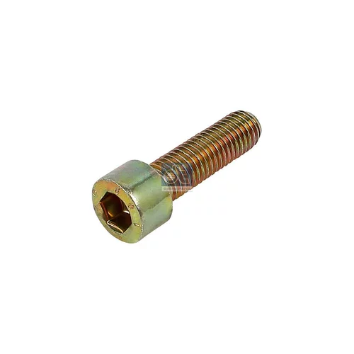Skrutka, veko skrine (olejové čerpadlo) DT Spare Parts 3.14147