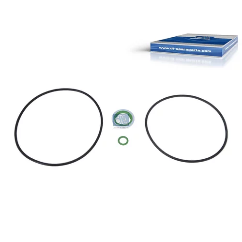 Sada tesneni, odstredivy cistic 1.31079 (DT Spare Parts)