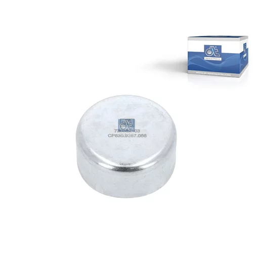 Prachovka, piest brzdového strmeňa DT Spare Parts 2.40066