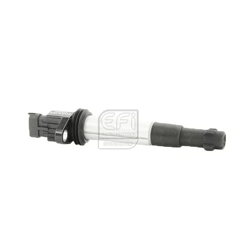 Zapaľovacia cievka 155480 (EFI Automotive)