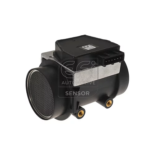 Merač hmotnosti vzduchu EFI AUTOMOTIVE 305021