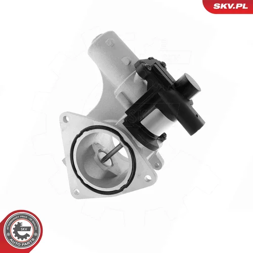 EGR ventil ESEN SKV 14SKV320
