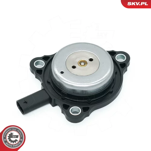 Centrálny magnet pre nastavovanie vačkového hriadeľa 39SKV905 (ESEN SKV) - obr. 2