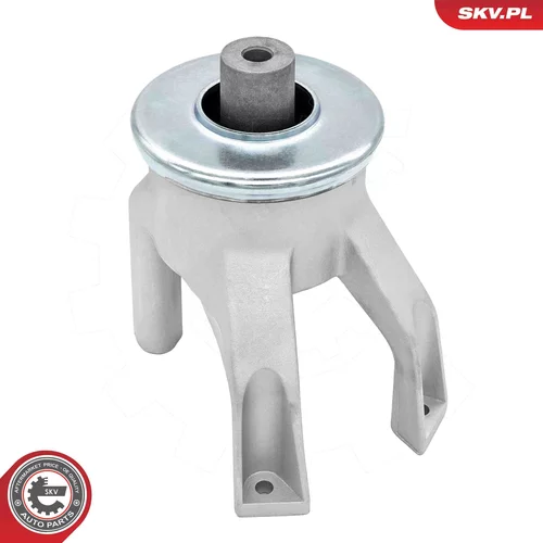 Uloženie motora 75SKV215 (ESEN SKV) - obr. 1