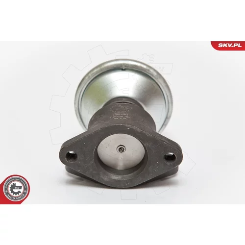 EGR ventil 14SKV051 (ESEN SKV) - obr. 1