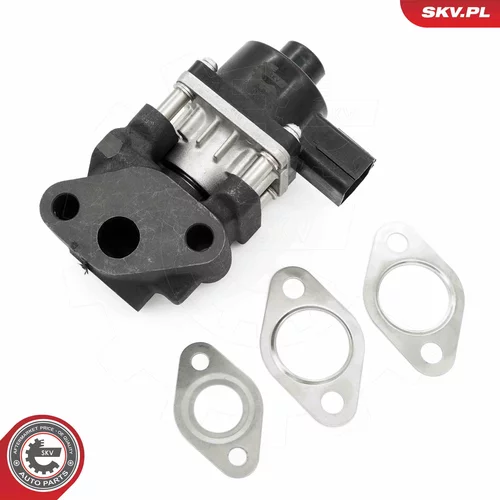 EGR ventil 14SKV260 (ESEN SKV) - obr. 1