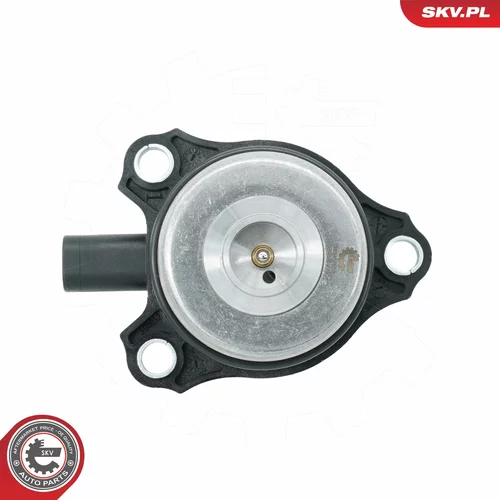 Centrálny magnet pre nastavovanie vačkového hriadeľa 39SKV903 (ESEN SKV) - obr. 3