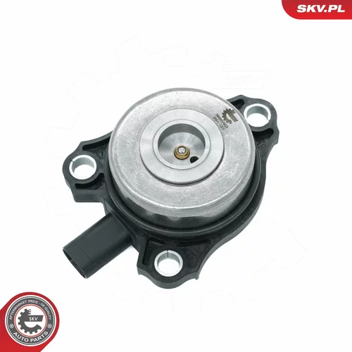 Centrálny magnet pre nastavovanie vačkového hriadeľa 39SKV903 (ESEN SKV) - obr. 2