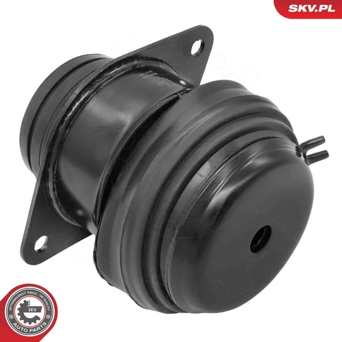 Uloženie motora 75SKV010 (ESEN SKV) - obr. 1