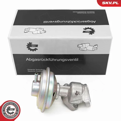 EGR ventil ESEN SKV 14SKV258