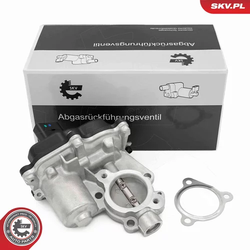 EGR ventil ESEN SKV 14SKV277
