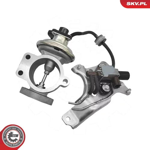 EGR ventil ESEN SKV 14SKV315