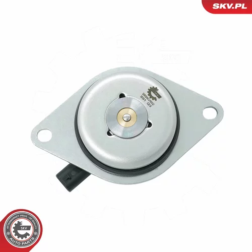 Centrálny magnet pre nastavovanie vačkového hriadeľa 39SKV902 (ESEN SKV) - obr. 3