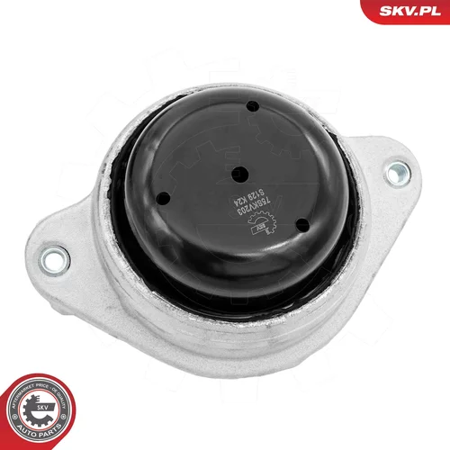 Uloženie motora 75SKV203 (ESEN SKV) - obr. 1