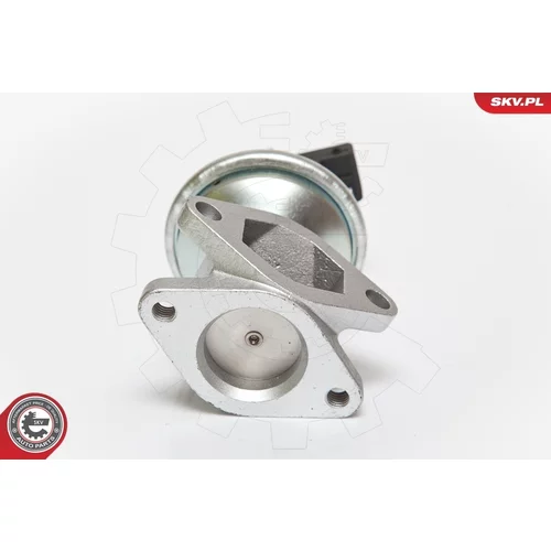 EGR ventil 14SKV050 (ESEN SKV) - obr. 1