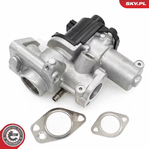 EGR ventil 14SKV253 (ESEN SKV) - obr. 1