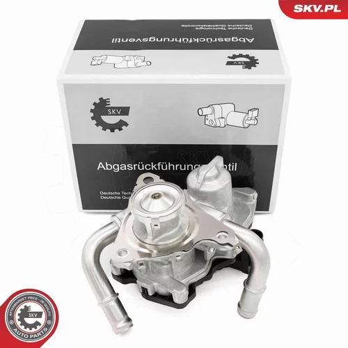 EGR ventil ESEN SKV 14SKV278