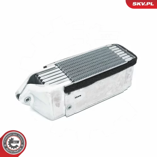 Chladič motorového oleja 31SKV210 (ESEN SKV) - obr. 1