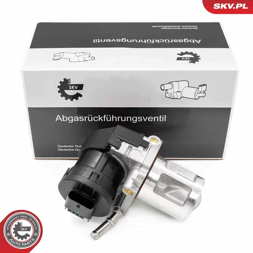 EGR ventil ESEN SKV 14SKV261