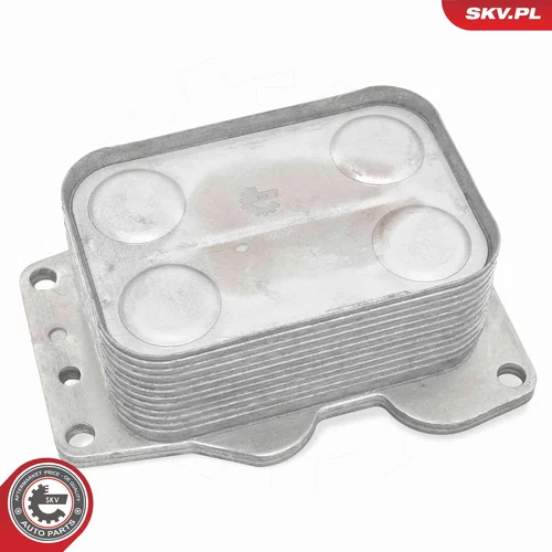 Chladič motorového oleja 31SKV308 (ESEN SKV) - obr. 1