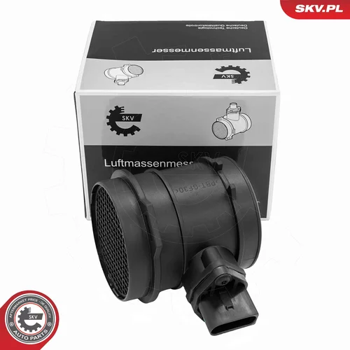 Merač hmotnosti vzduchu ESEN SKV 07SKV301